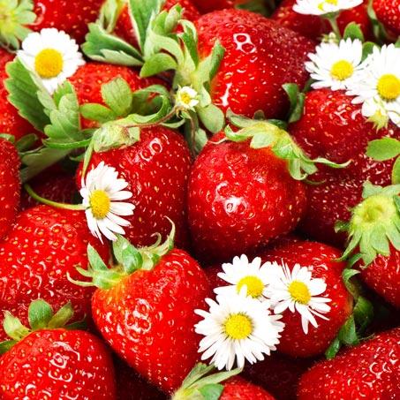 高清新鲜草莓与花儿水果图片设计素材下载